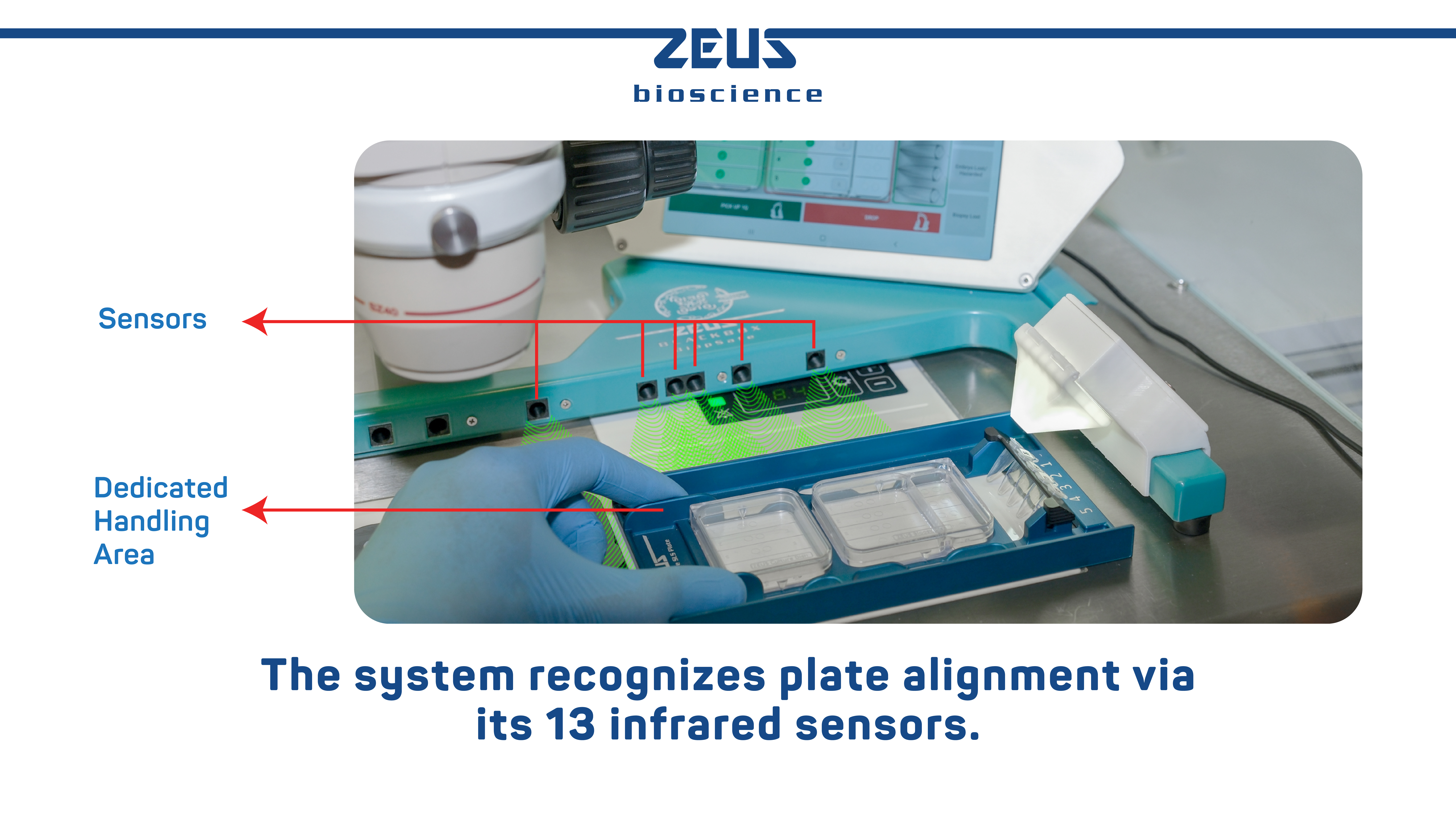 INTELLIGENT WORKFLOW VERIFICATION 